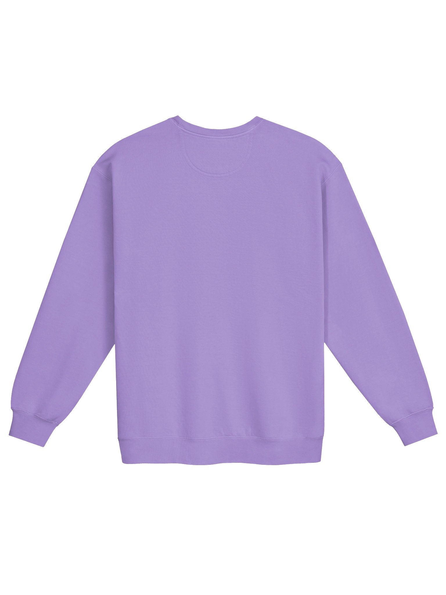 Icon Crewneck - Violet product image (2)
