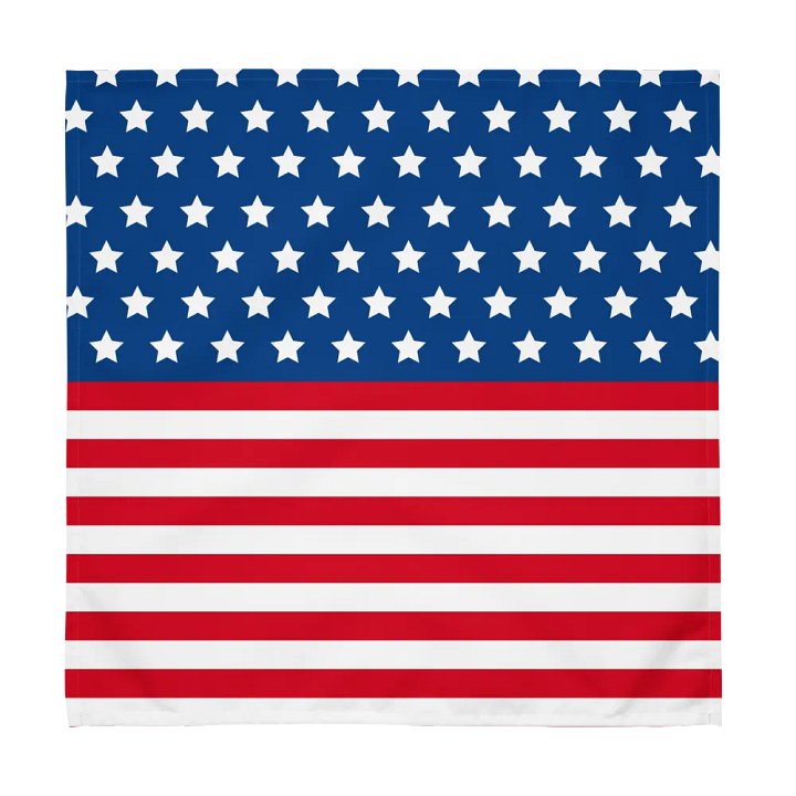 Exclusive Patriotic United States Flag Cloth Napkin Set (4) - Dining Decor product image (2)
