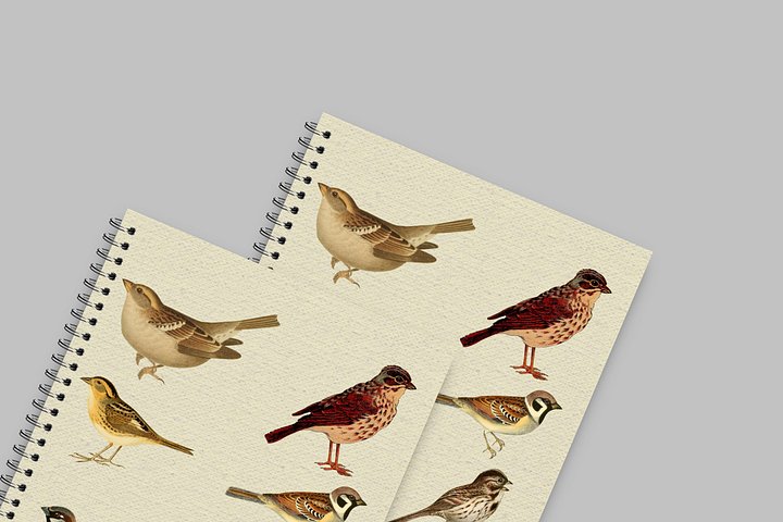 Sparrow: Notebook Cover Canva Template product image (2)
