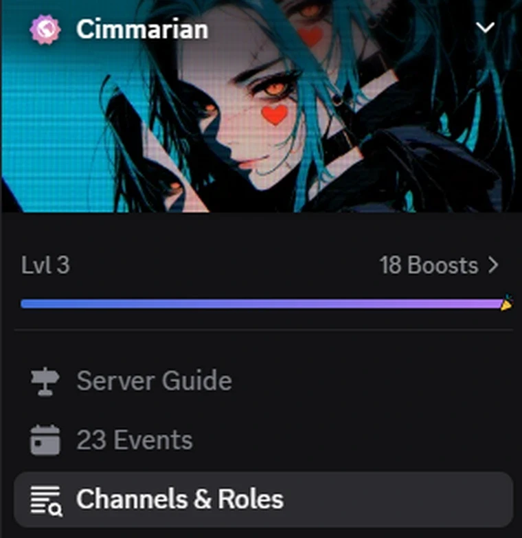Channels & Roles