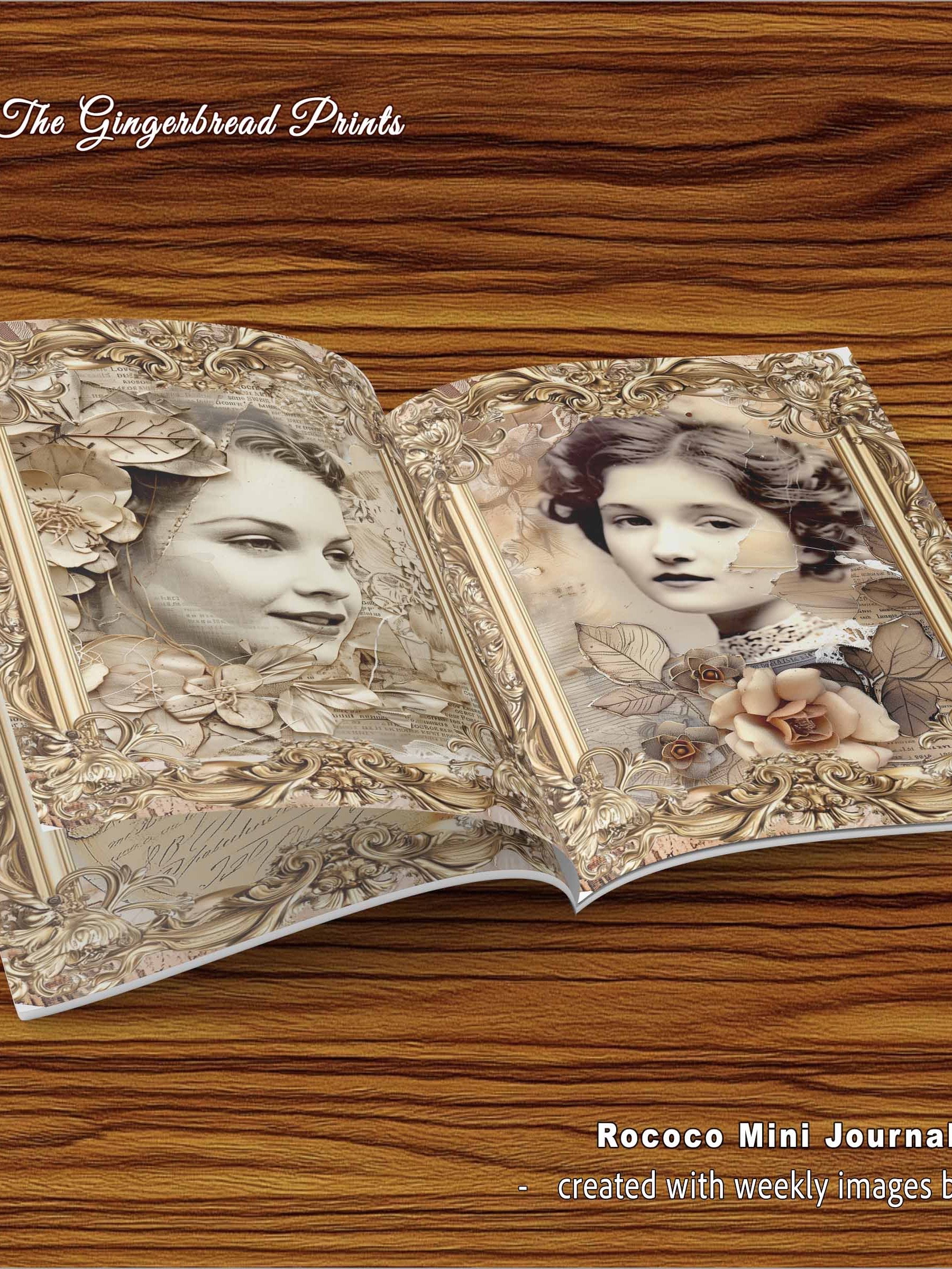 100 Rococo Frames Labels+Mini journal+cards Digital product image (12)