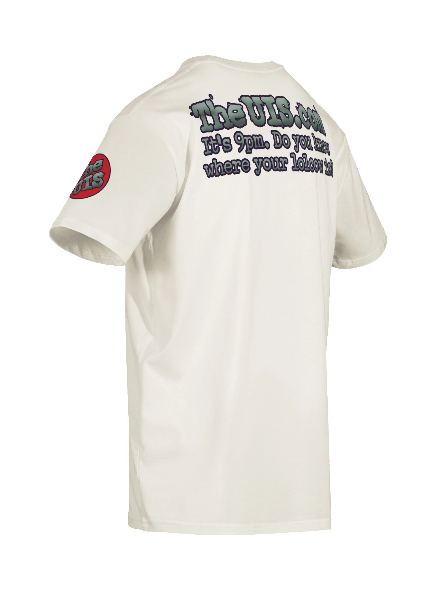He Ain't No 43 - Premium Unisex T-Shirt product image (30)