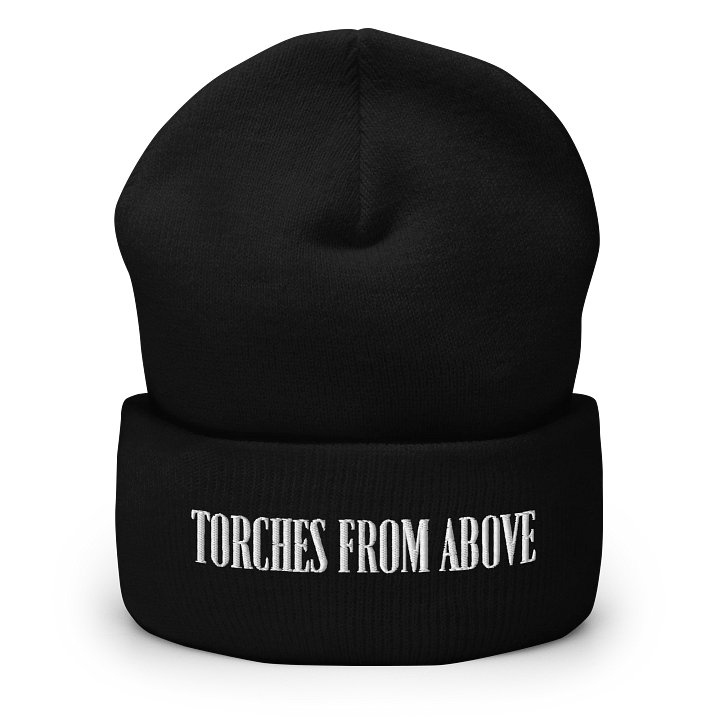 The Logo Beanie product image (1)