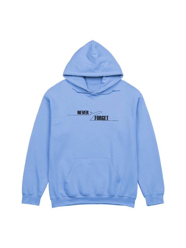 NEVER FORGET SPIRIT AIRLINES 🙏🏾🕊️✨ — HOODIE (LIGHT + FULL) product image (1)