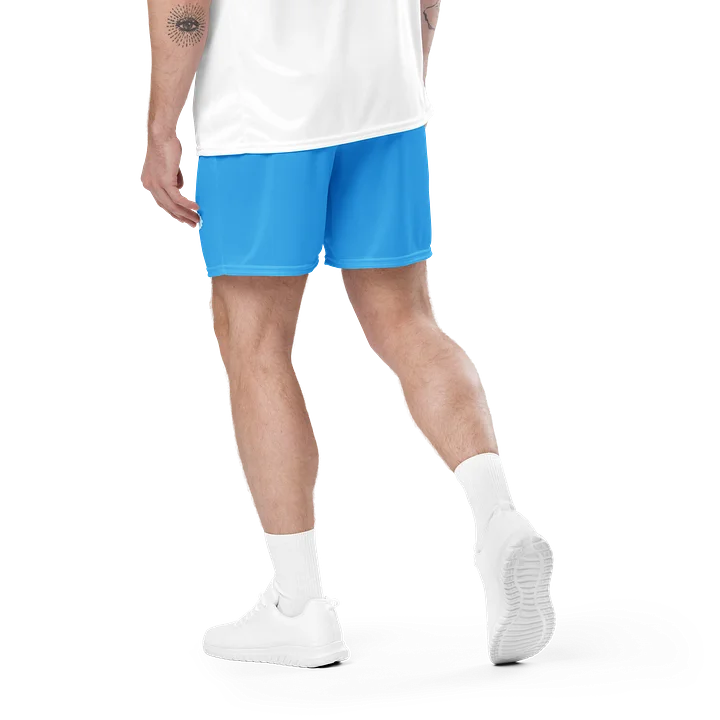 His House Mens Performance Mesh Shorts - Blue Sky product image (2)