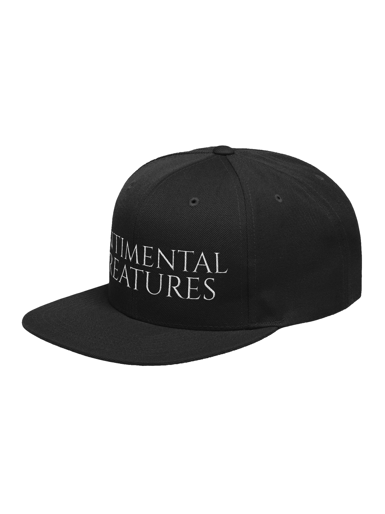 OG Text Logo Hat product image (19)