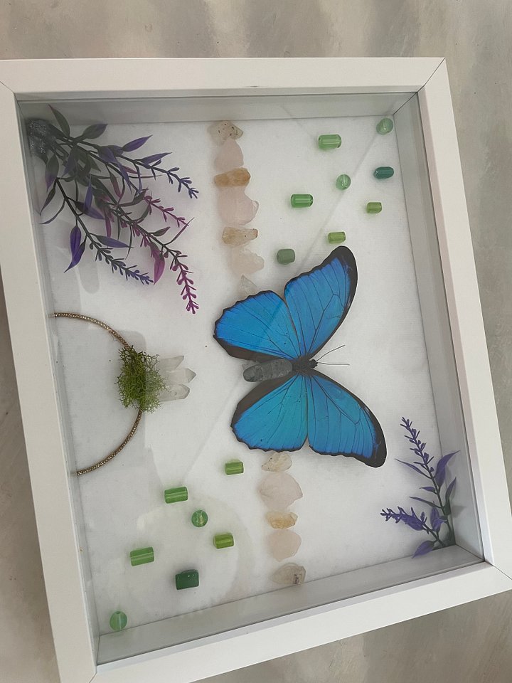 Blue Morpho Meadow Shadowbox product image (1)