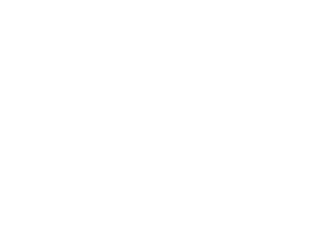 Swordbill Studio