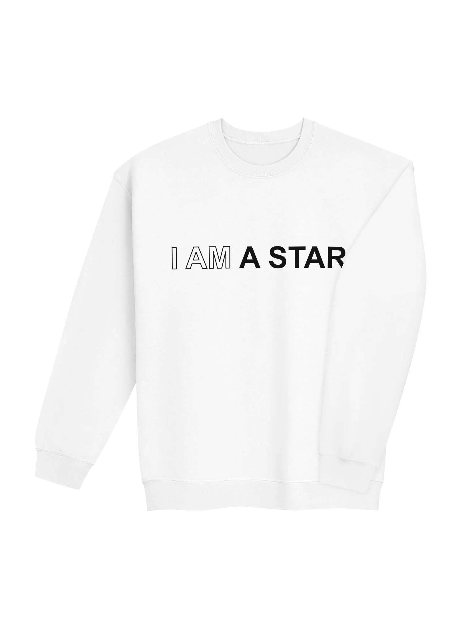 Ten Year Anniversary Gilden Sweatshirt product image (4)