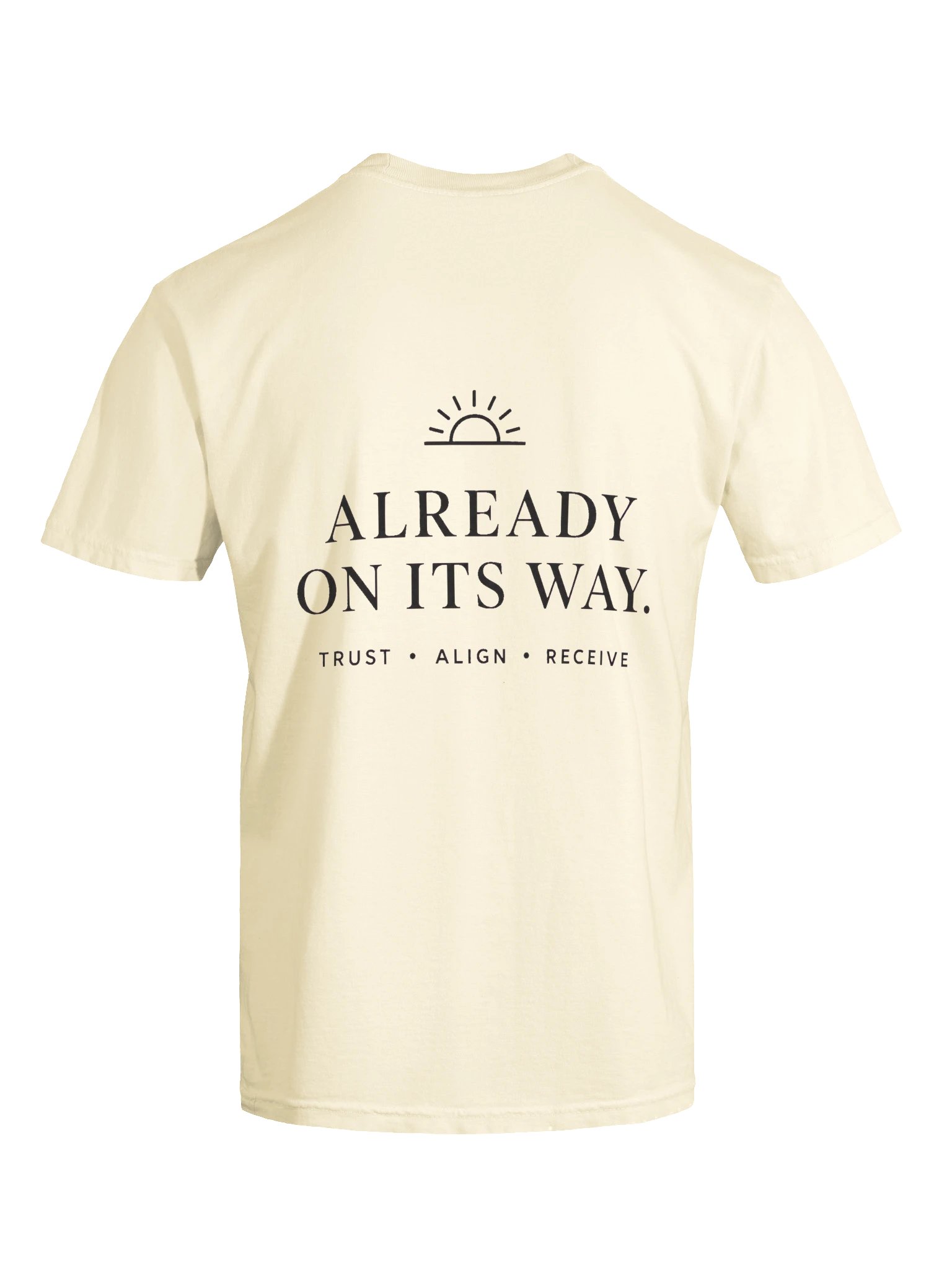 Already On Its Way — Garment-Dyed Tee product image (25)