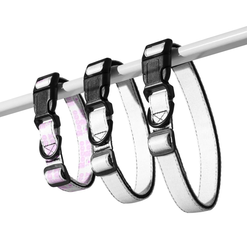 RoccoRox Dog Collar Size Small product image (5)