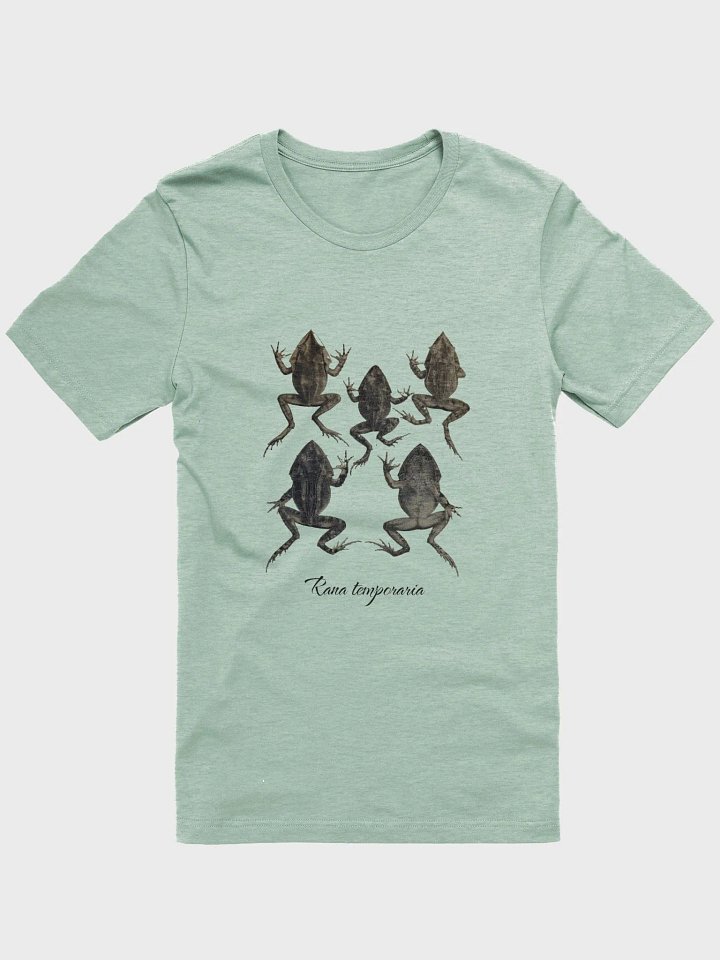 Rana Temporaria - Vintage Frog Design product image (1)