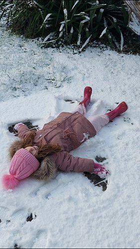 Maisy making her snow angel x (3/Jan/26)