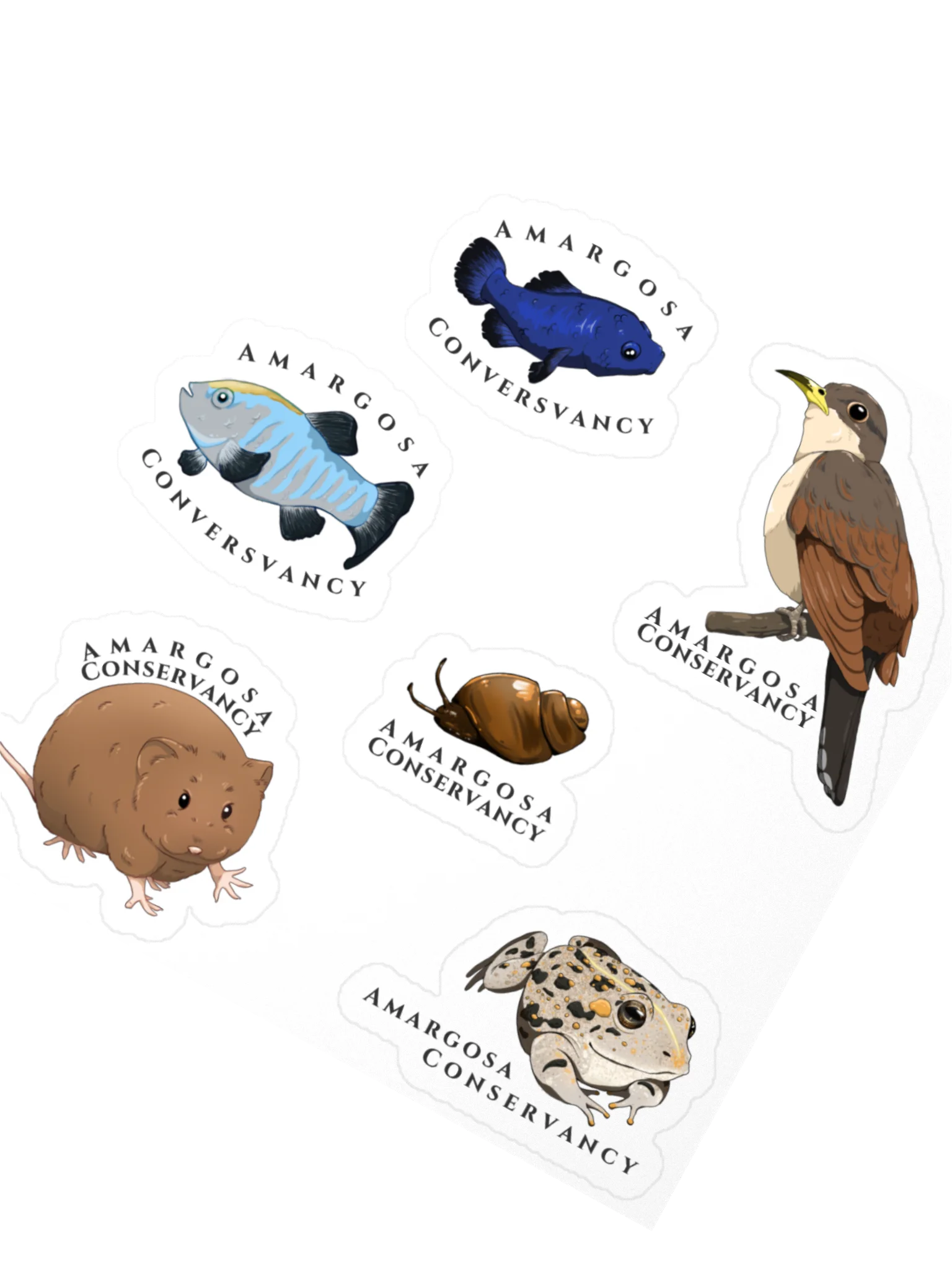 Amargosa River Basin Species Sticker Sheet product image (2)