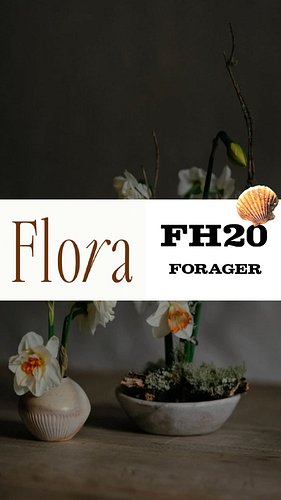 https://www.floranewyard.co.uk/

Low impact scallops, especially for Flora.
Thank you guys (27/08/26).
:)