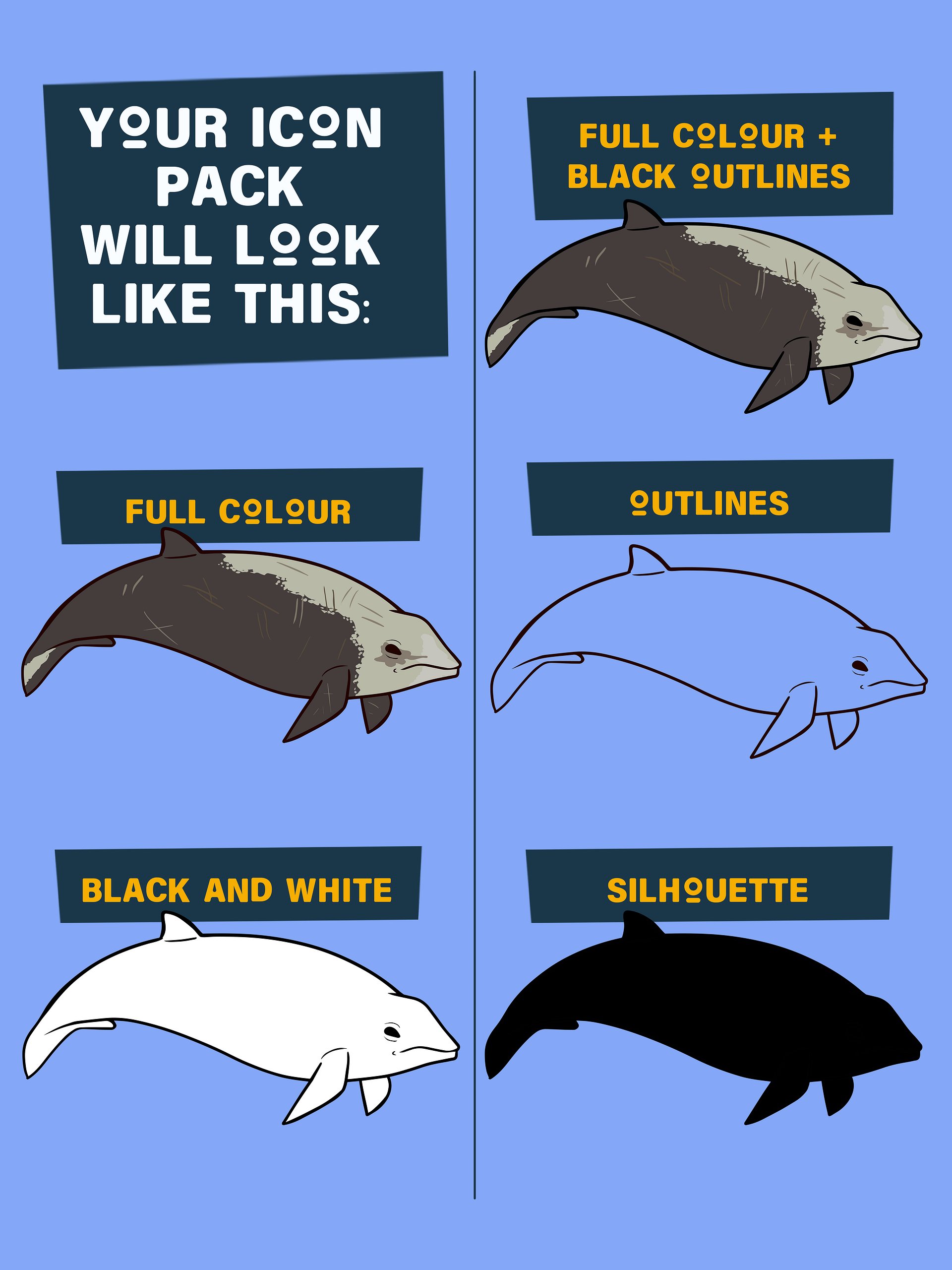12 Cetaceans of the British Isles product image (7)