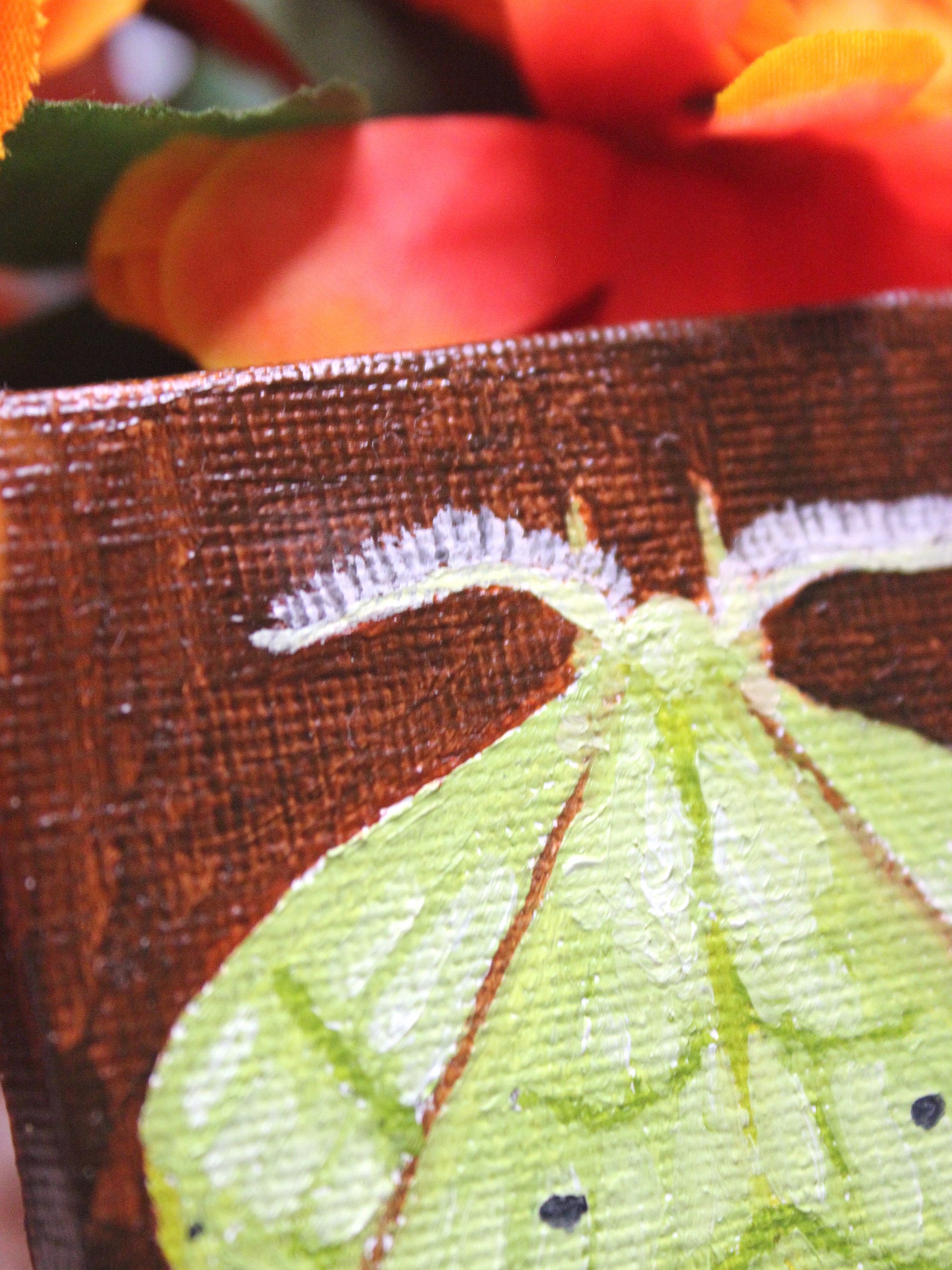 Trabala Garuda Moth Mini Oil Painting product image (4)