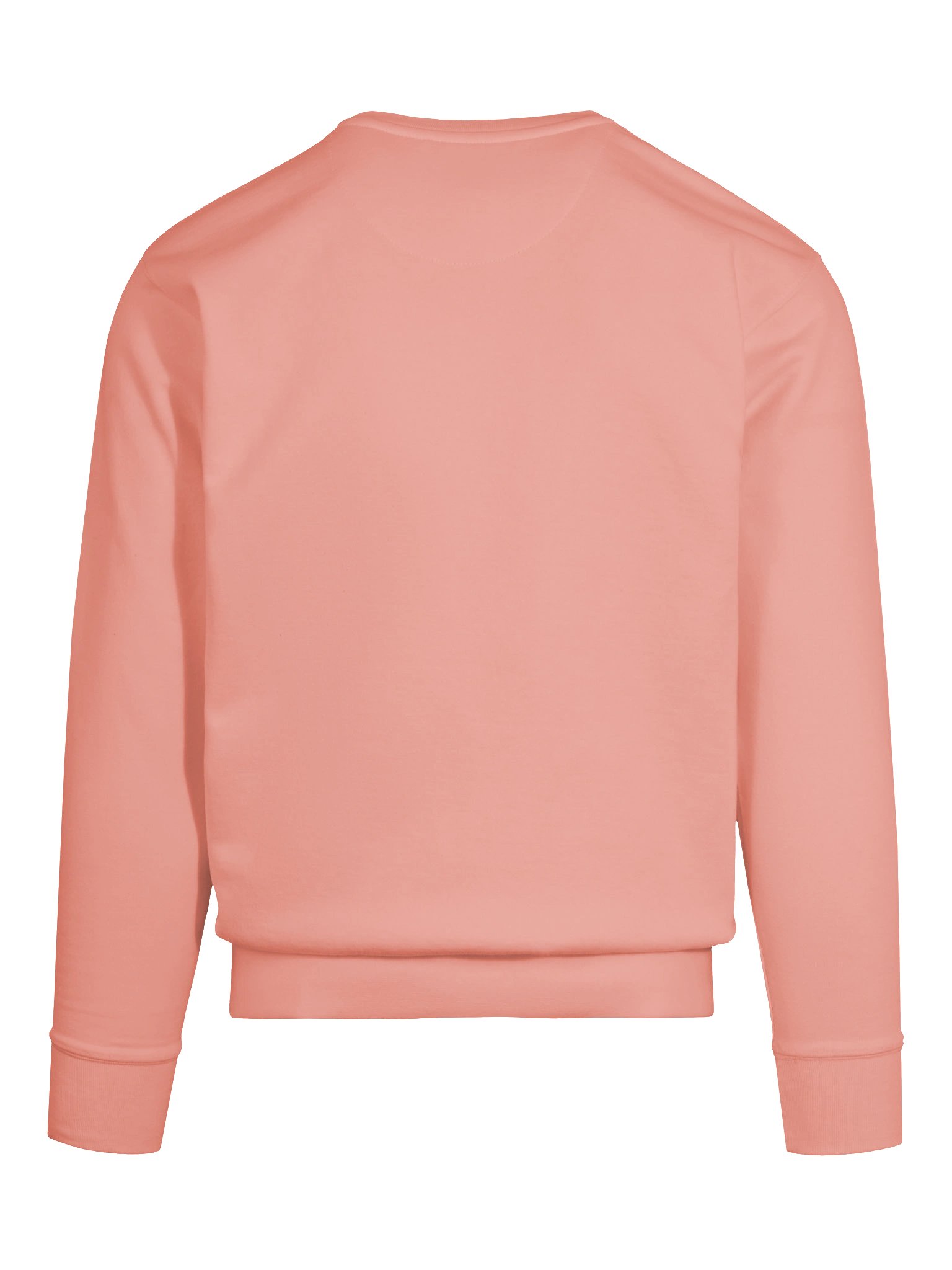 Endless Summer Club Sweater Pink / Dark Red product image (9)