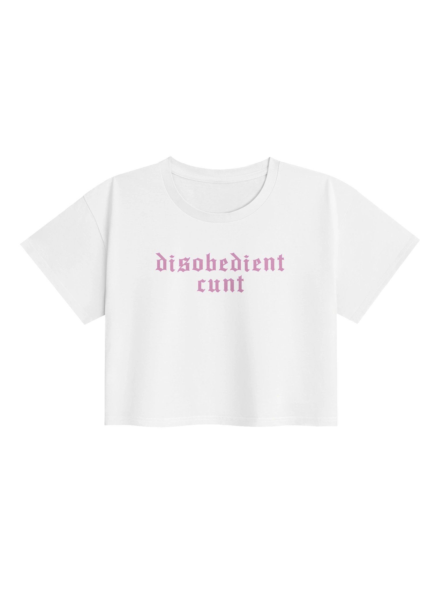 Disobedient Crop Top product image (1)