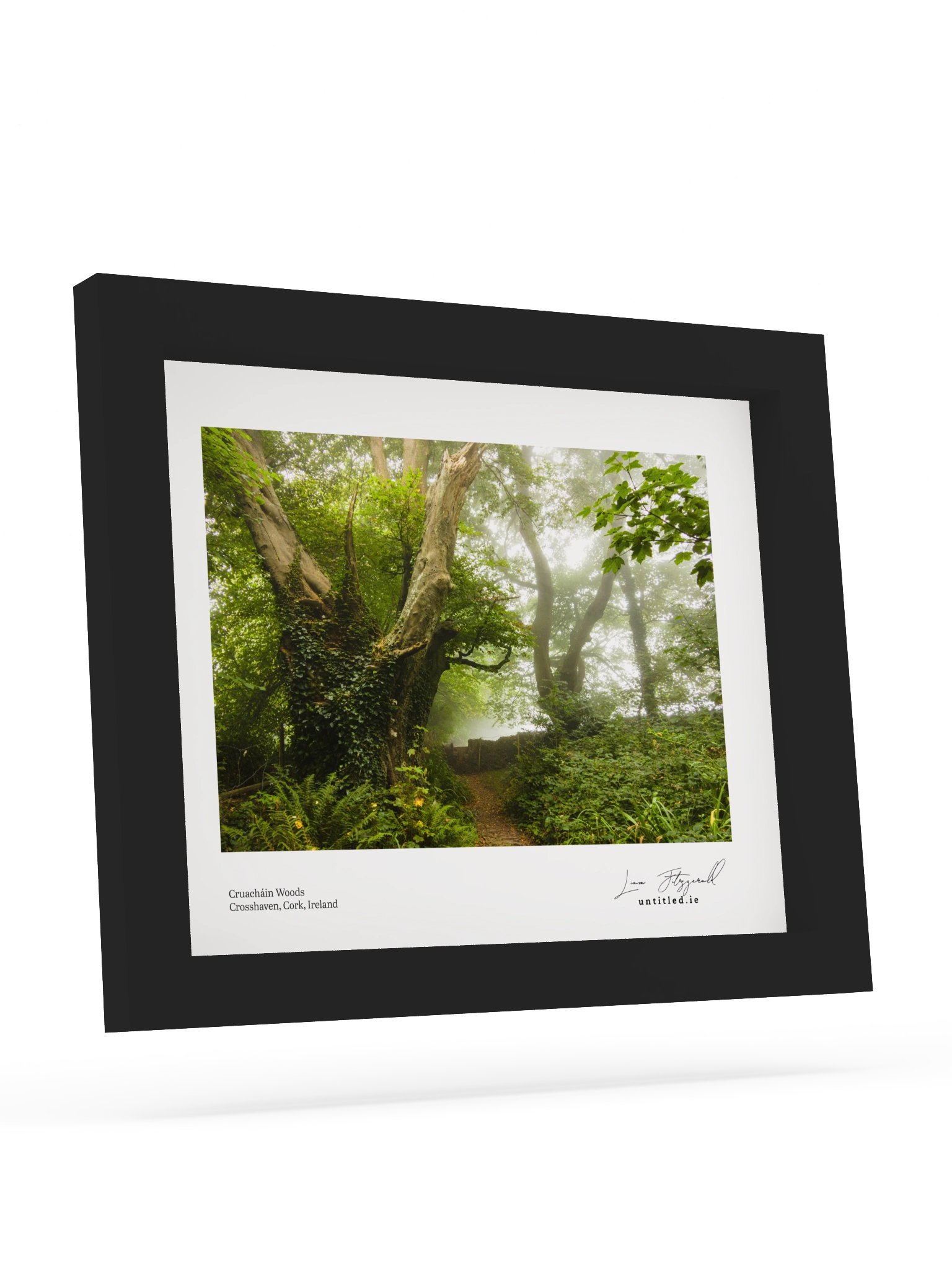 Misty morning in Cruchain Woods, Crosshaven product image (2)