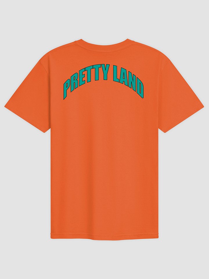 Teal "Pretty Land" Tee product image (2)