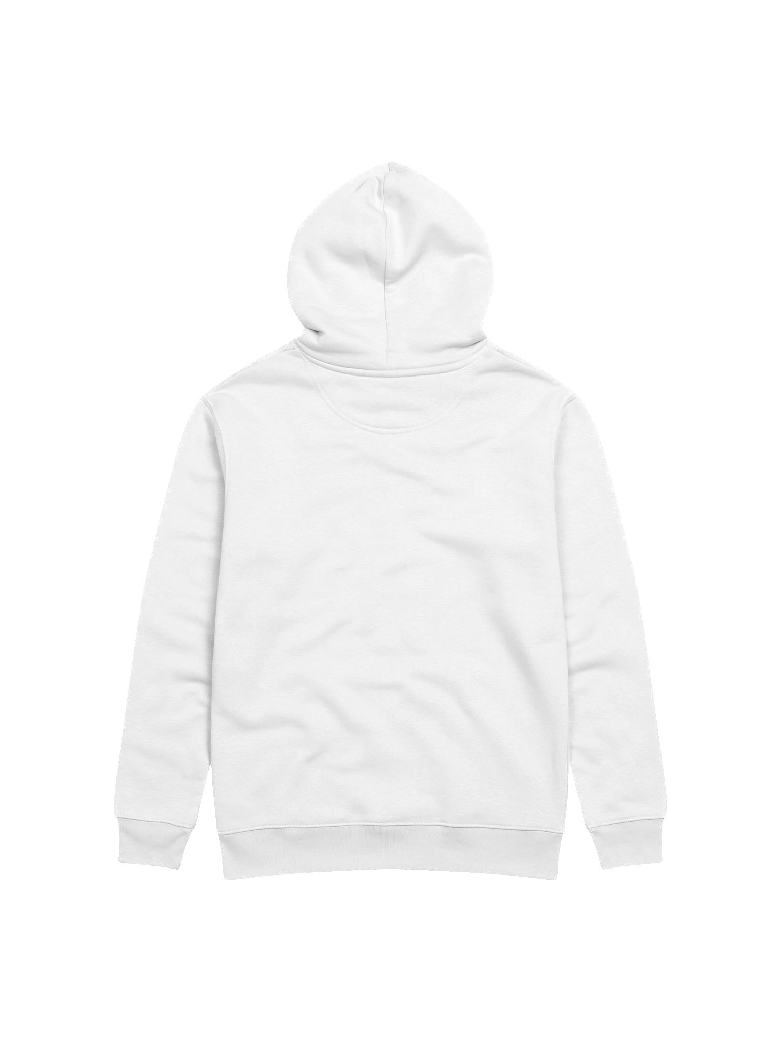 Salt & Light Hoodie product image (13)