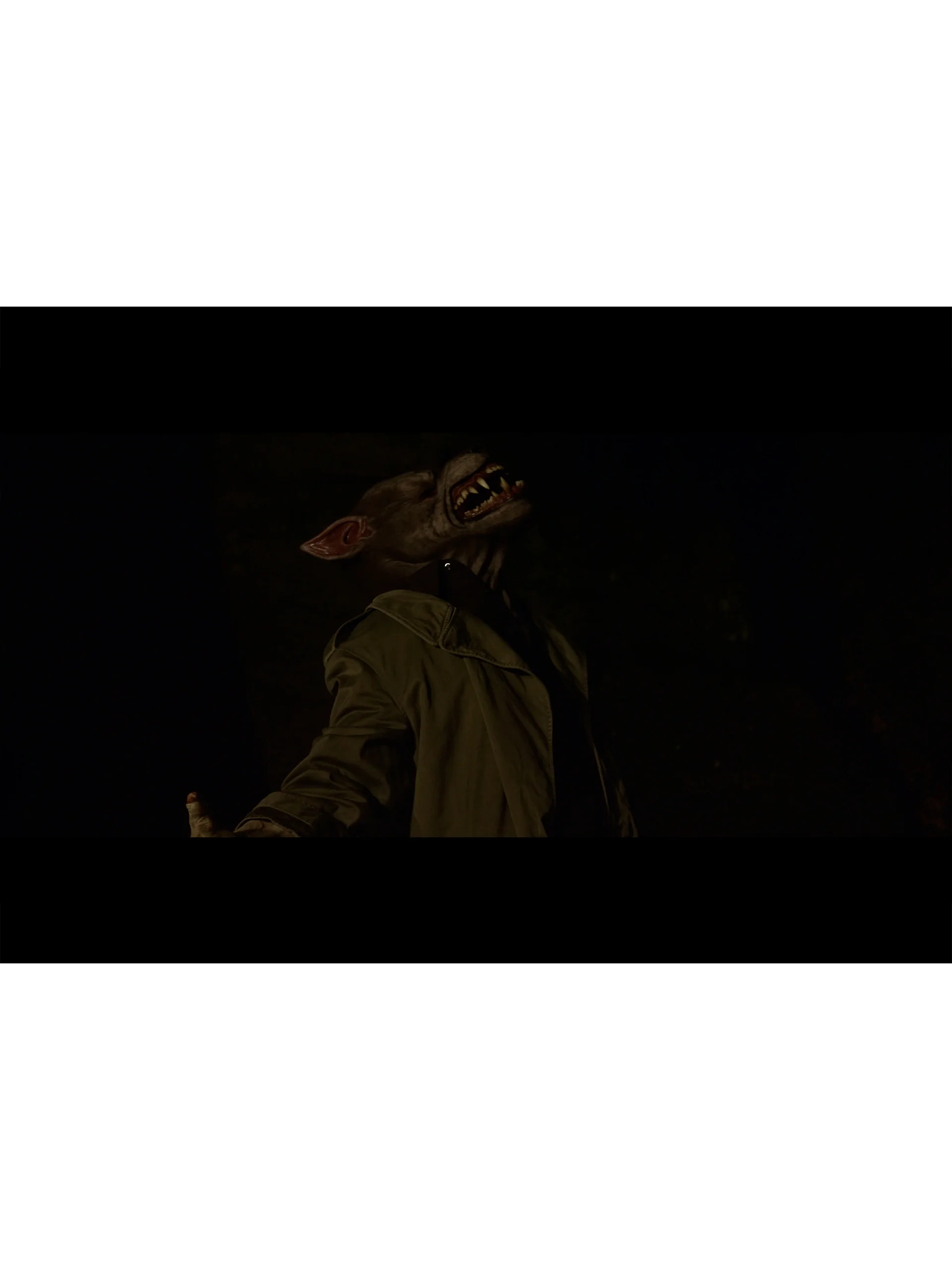 The Horrific Evil Monsters (DVD) product image (10)
