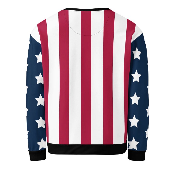 TEAM USA Unisex Sweatshirt product image (2)