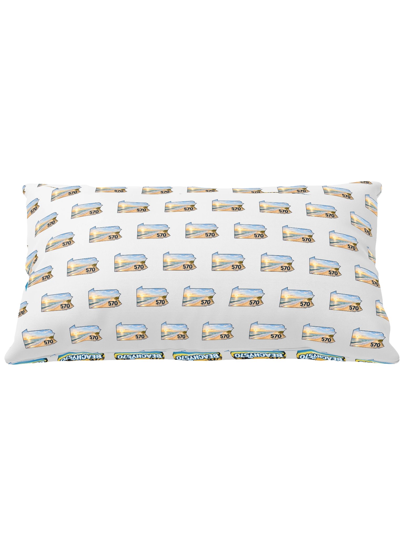 beachy570 pillow product image (1)