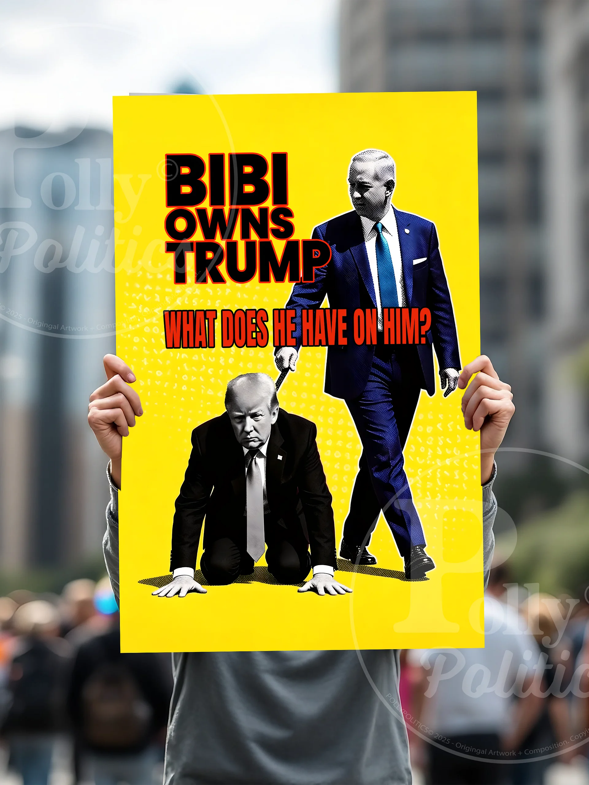 Bibi Owns Trump Protest Sign product image (6)