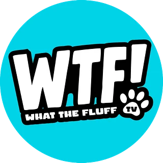 What The Fluff TV