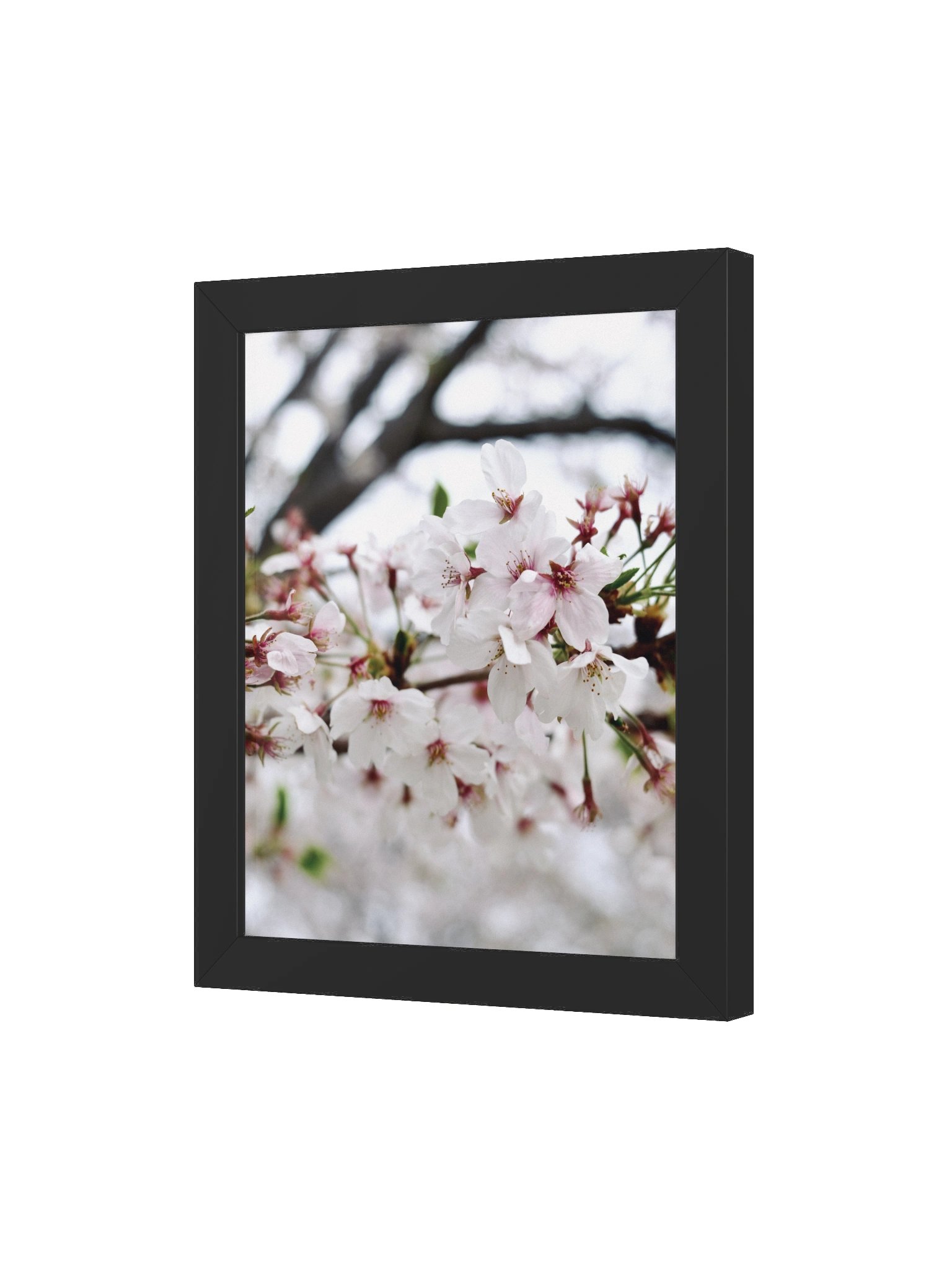 Sakura product image (44)