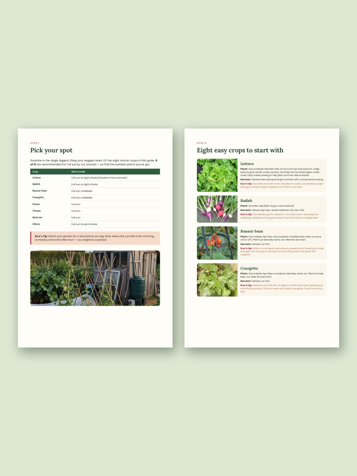 Grow Your First Veggie Patch (UK Edition) product image (2)