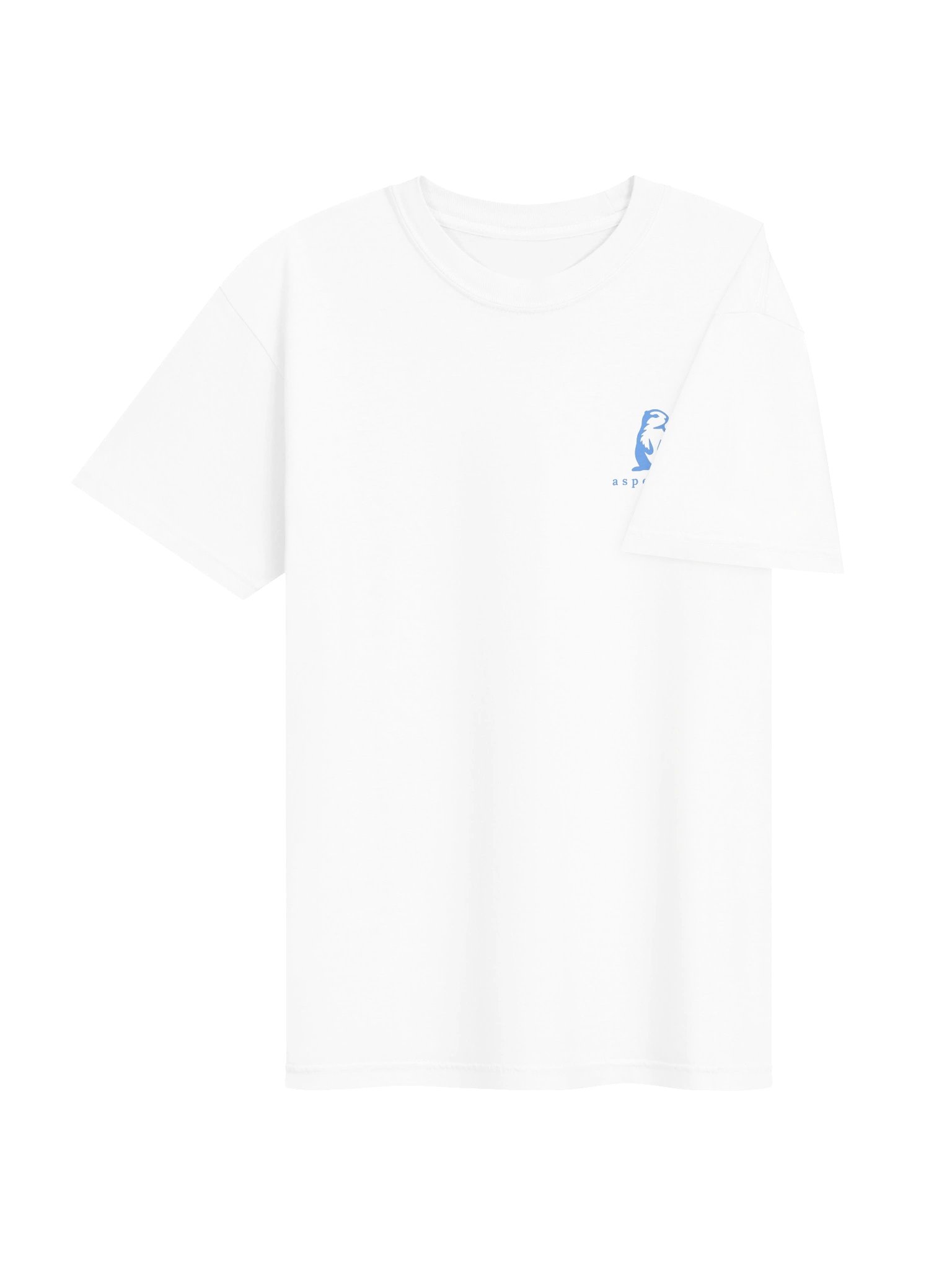 Paradise: Mount Rainier Tee product image (12)