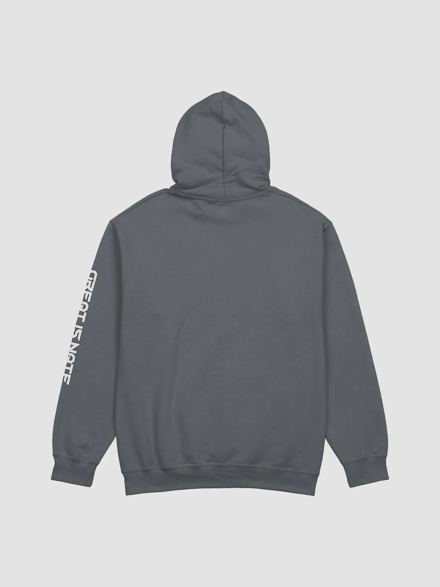 A Great Hoodie product image (6)