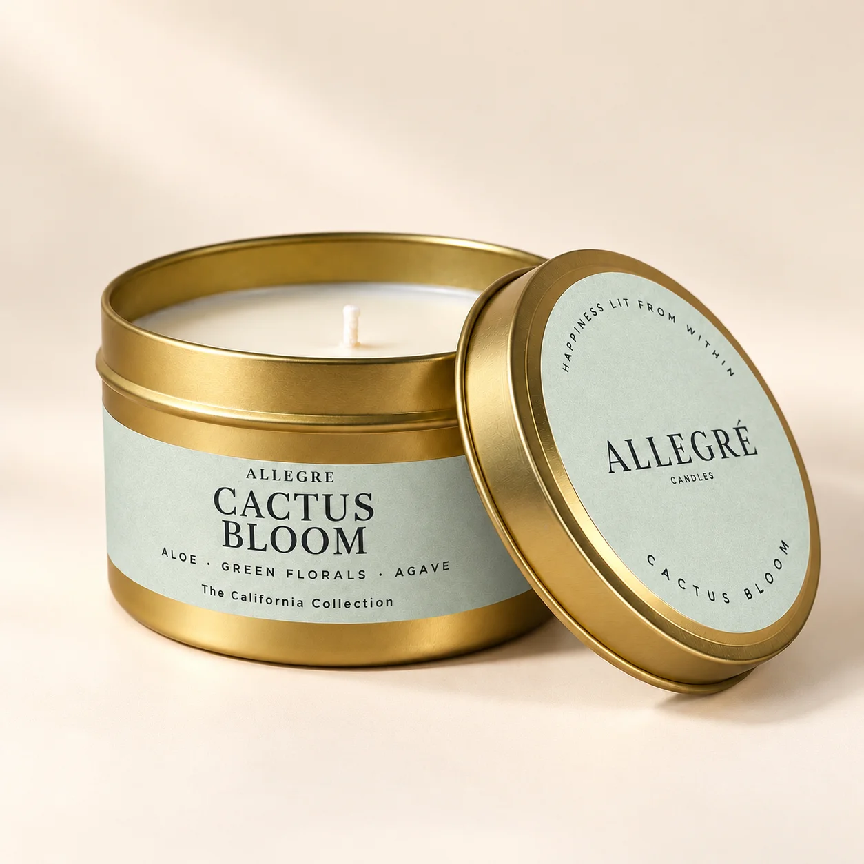 Cactus Bloom product image (1)