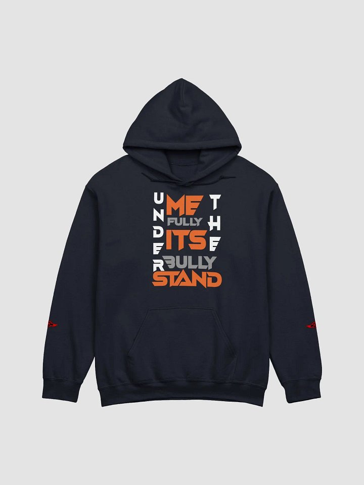 UNDERSTAND FULLY (HOODIE ) LD product image (1)