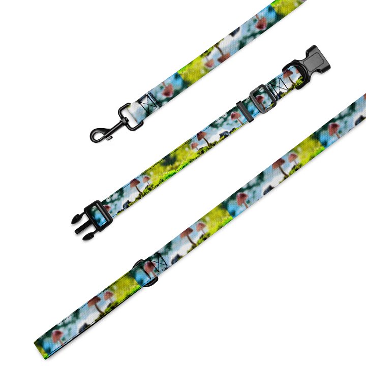 The Beast Leash & Collar Set - Mushrooms product image (2)