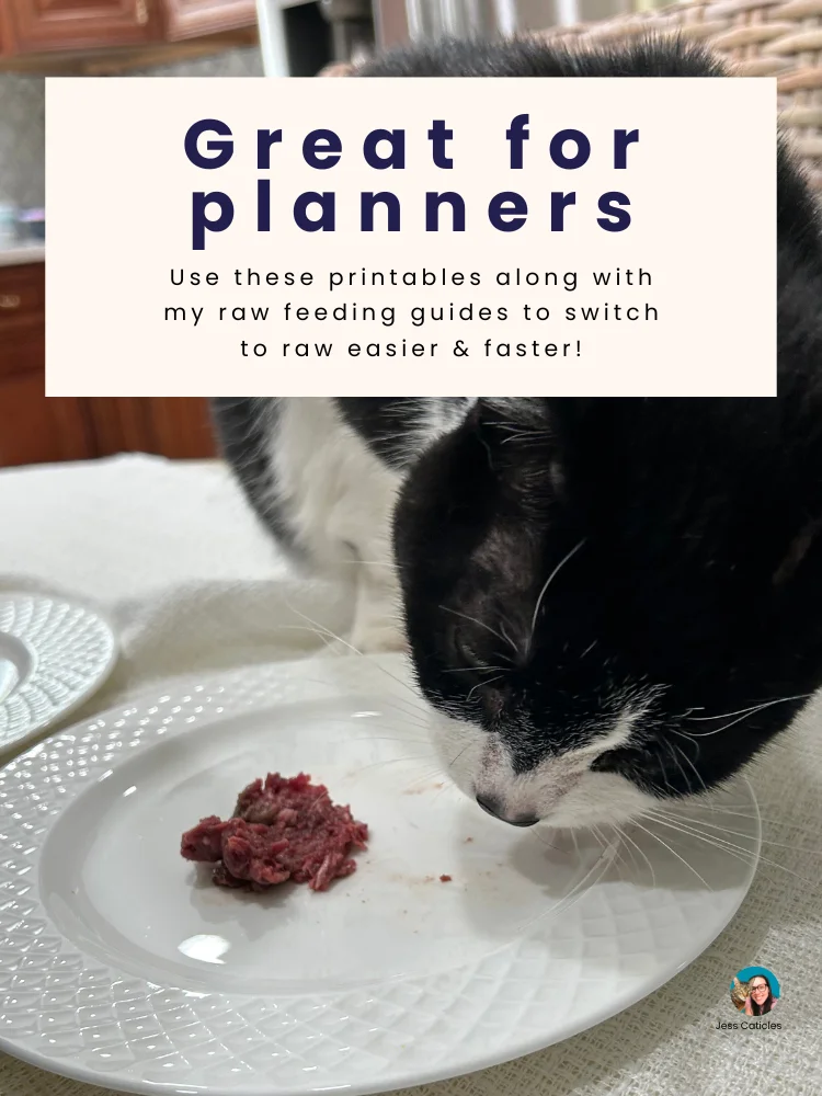 Raw Feeding Cats Printables Digital Download product image (3)