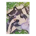 Spring 2026 - Starry (Garden Banner)
