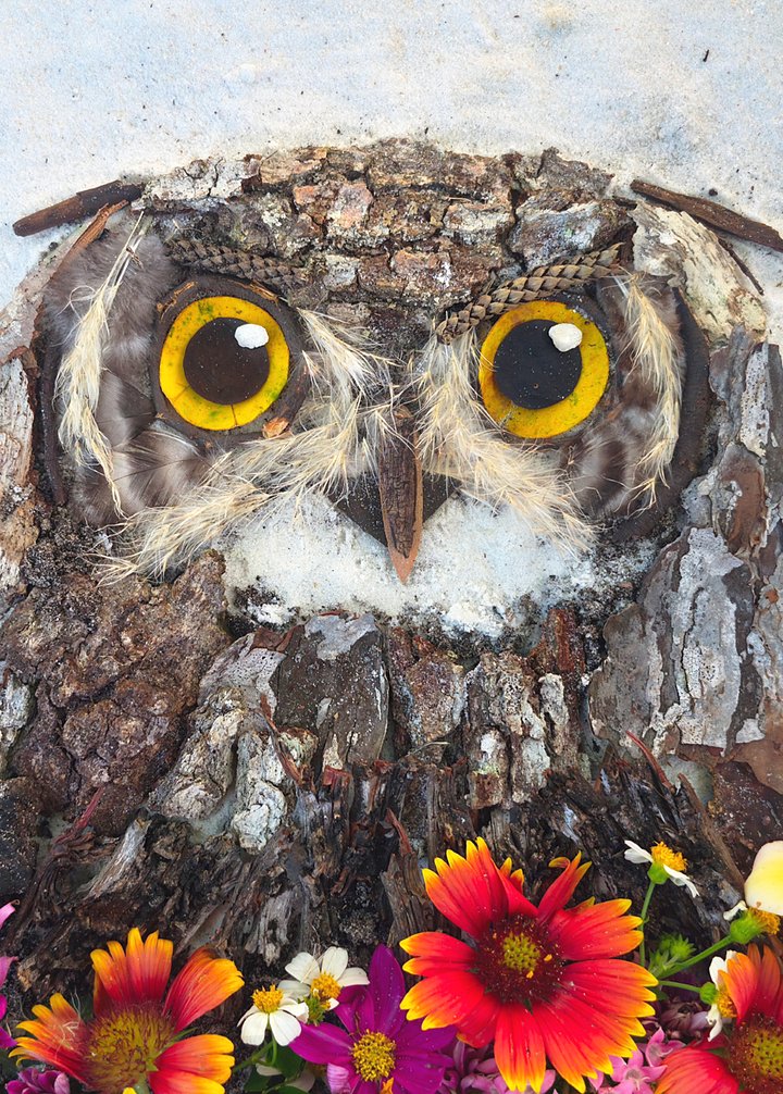 MORNING OWL | Fine Art Print product image (2)