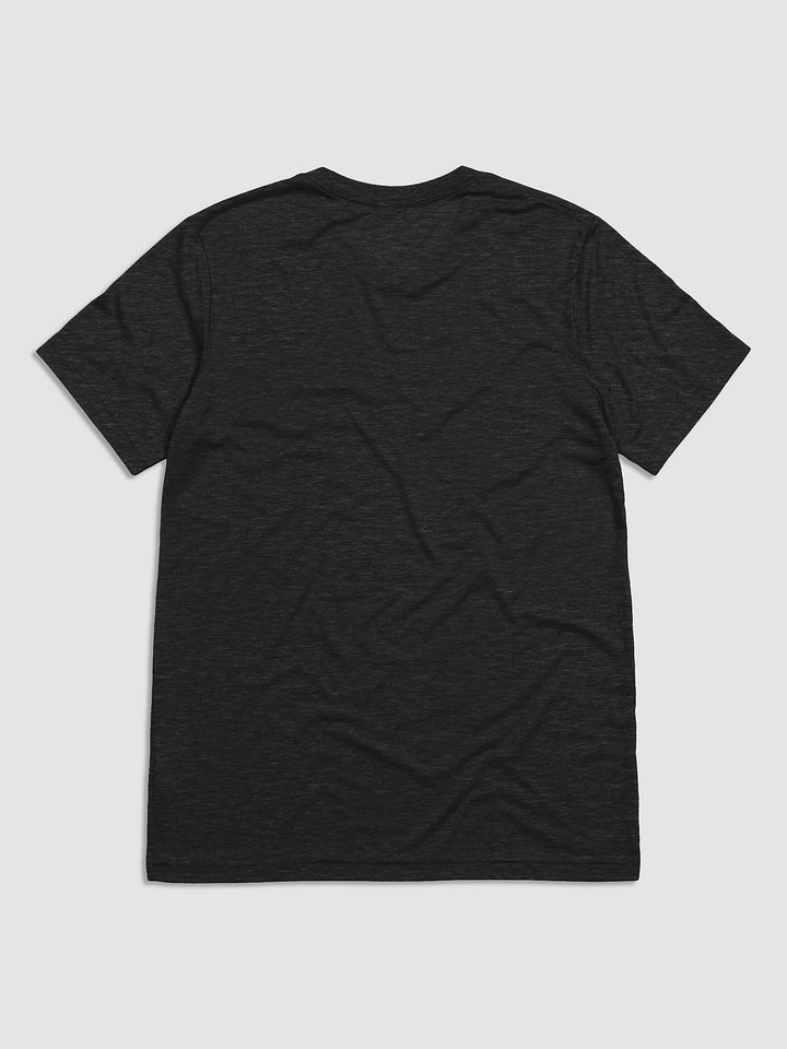 Boycott Megachurches Unisex T-Shirt (Black) product image (2)
