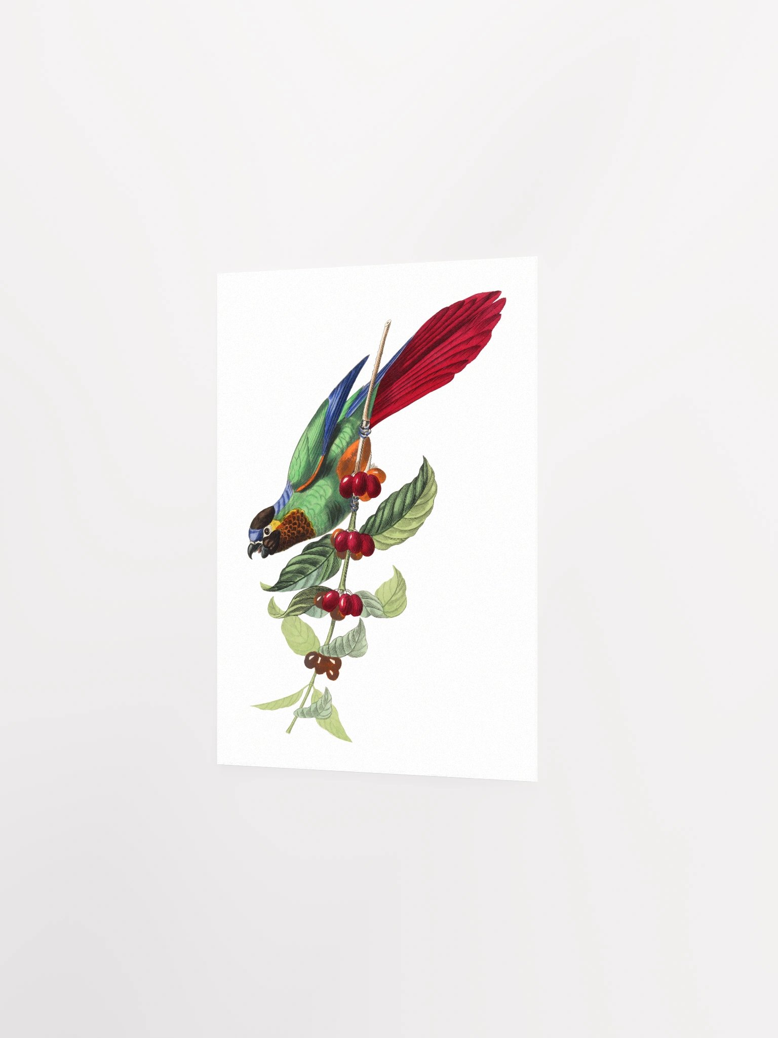 Vibrant Avian Delight Poster product image (13)