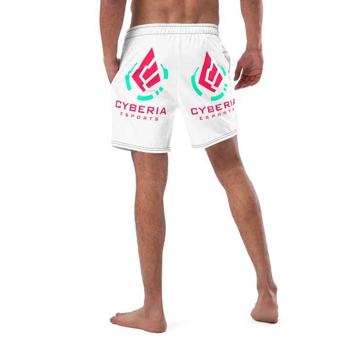 Men Swim Trunks product image (2)