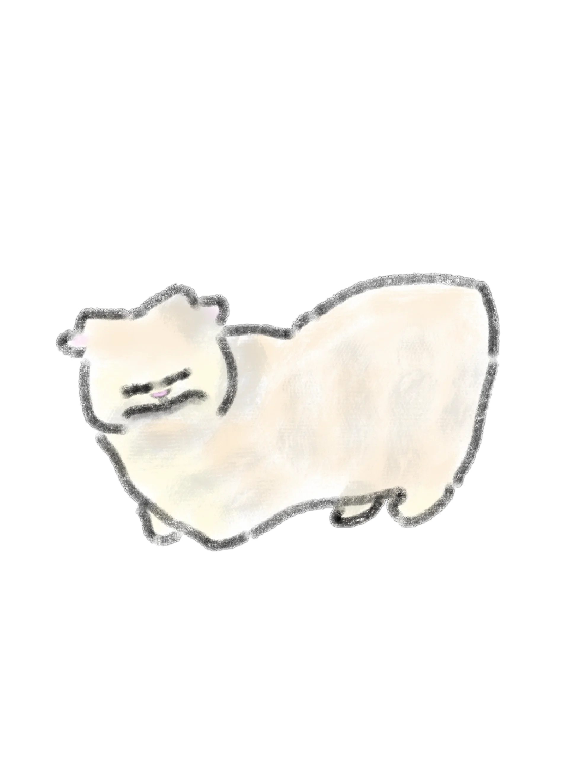 12 Hand-Drawn Cat PNG Clipart Bundle product image (4)
