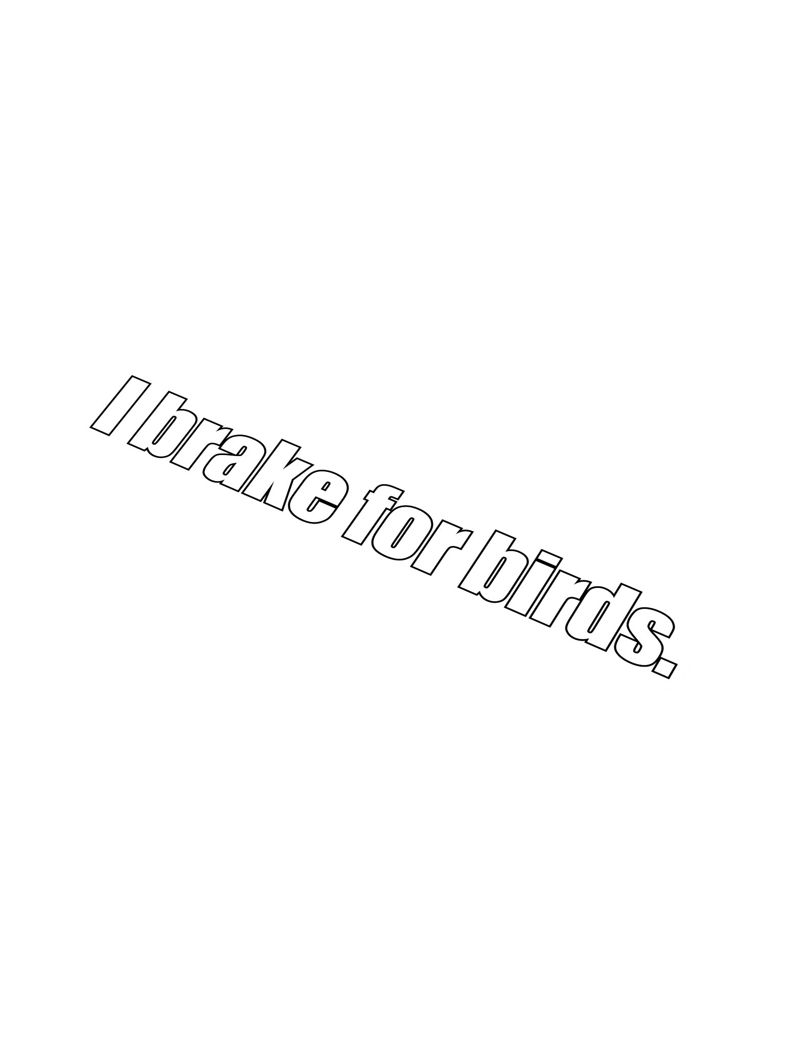 I brake for birds bumper sticker product image (1)