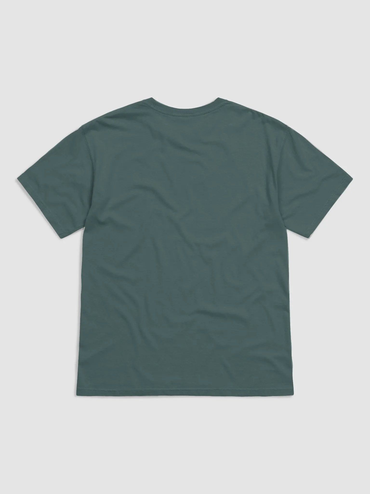 Landscapes Garment Dyed Organic Cotton T-Shirt product image (2)