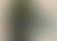 frog's tag thumbnail