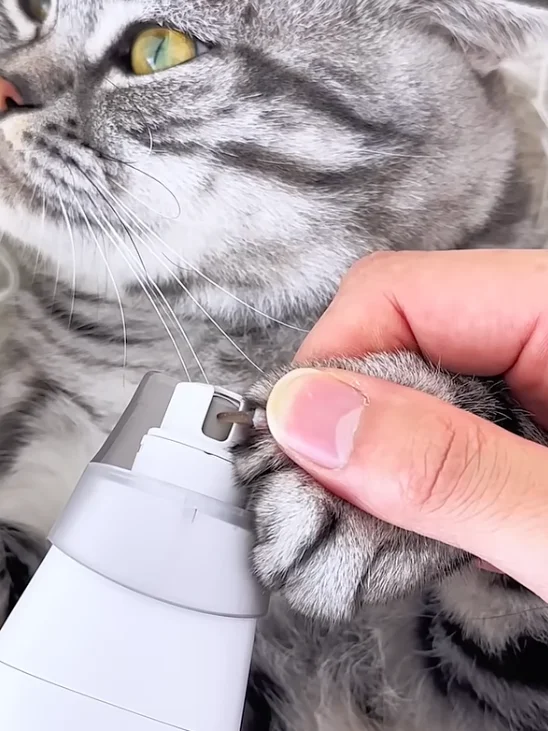 Mess-Free 8-in-1 Pet Vacuum Grooming Kit product image (4)