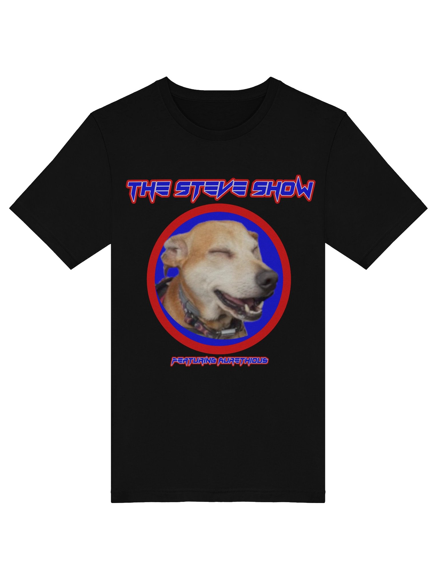 The Steve Show T-Shirt product image (19)